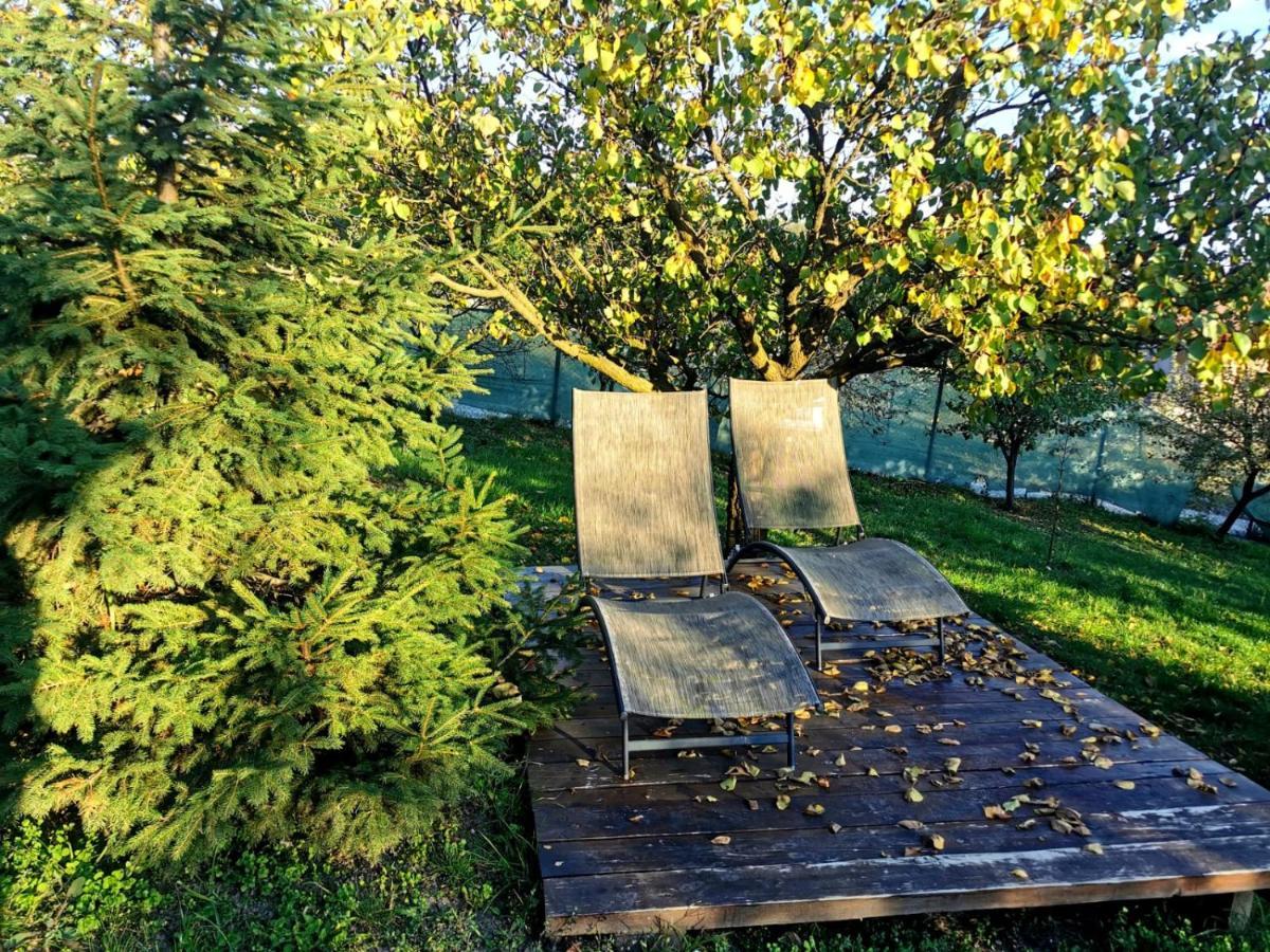 Zen Garden * Oradea