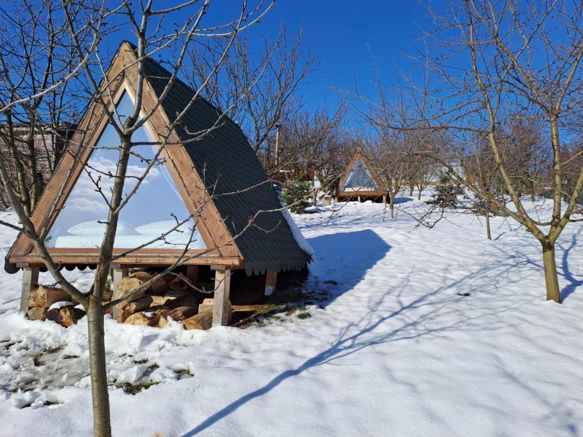 Luxury tent Zen Garden *