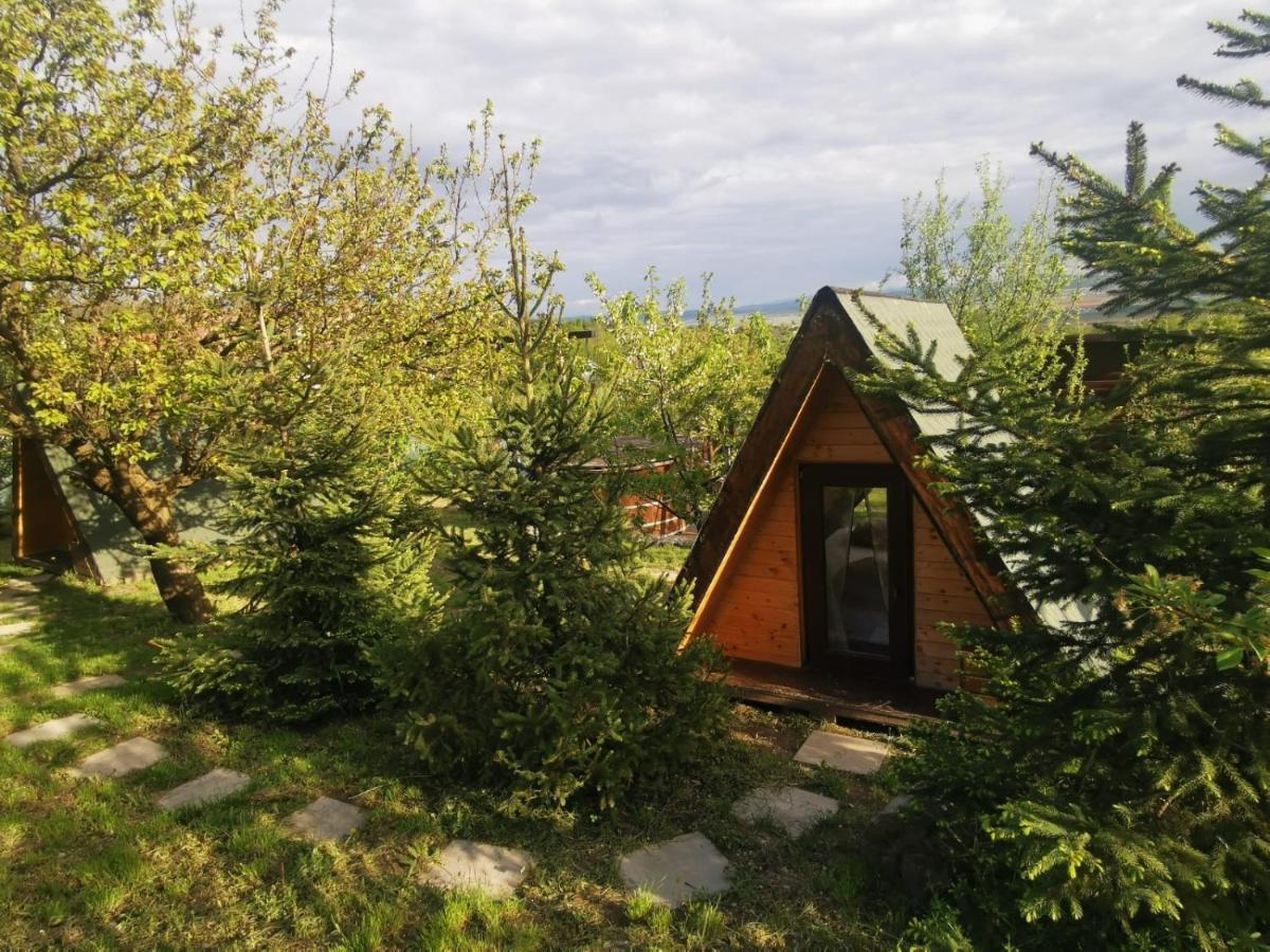 Luxury tent Zen Garden Oradea